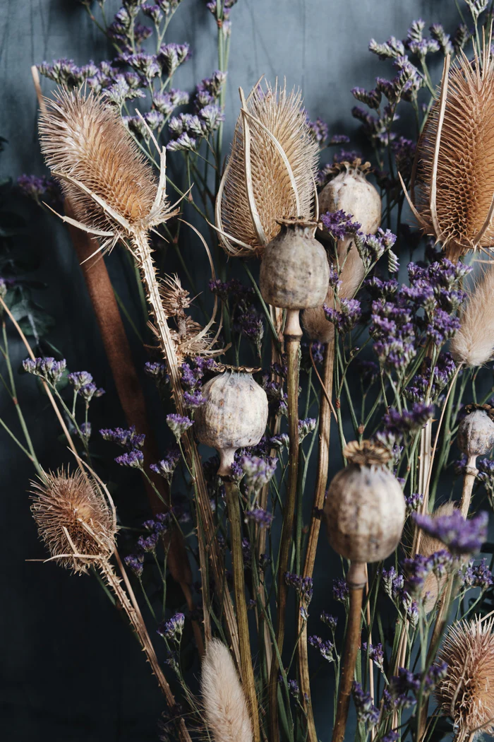 Beatrice Dried Wild Flower Bouquet - Image 4