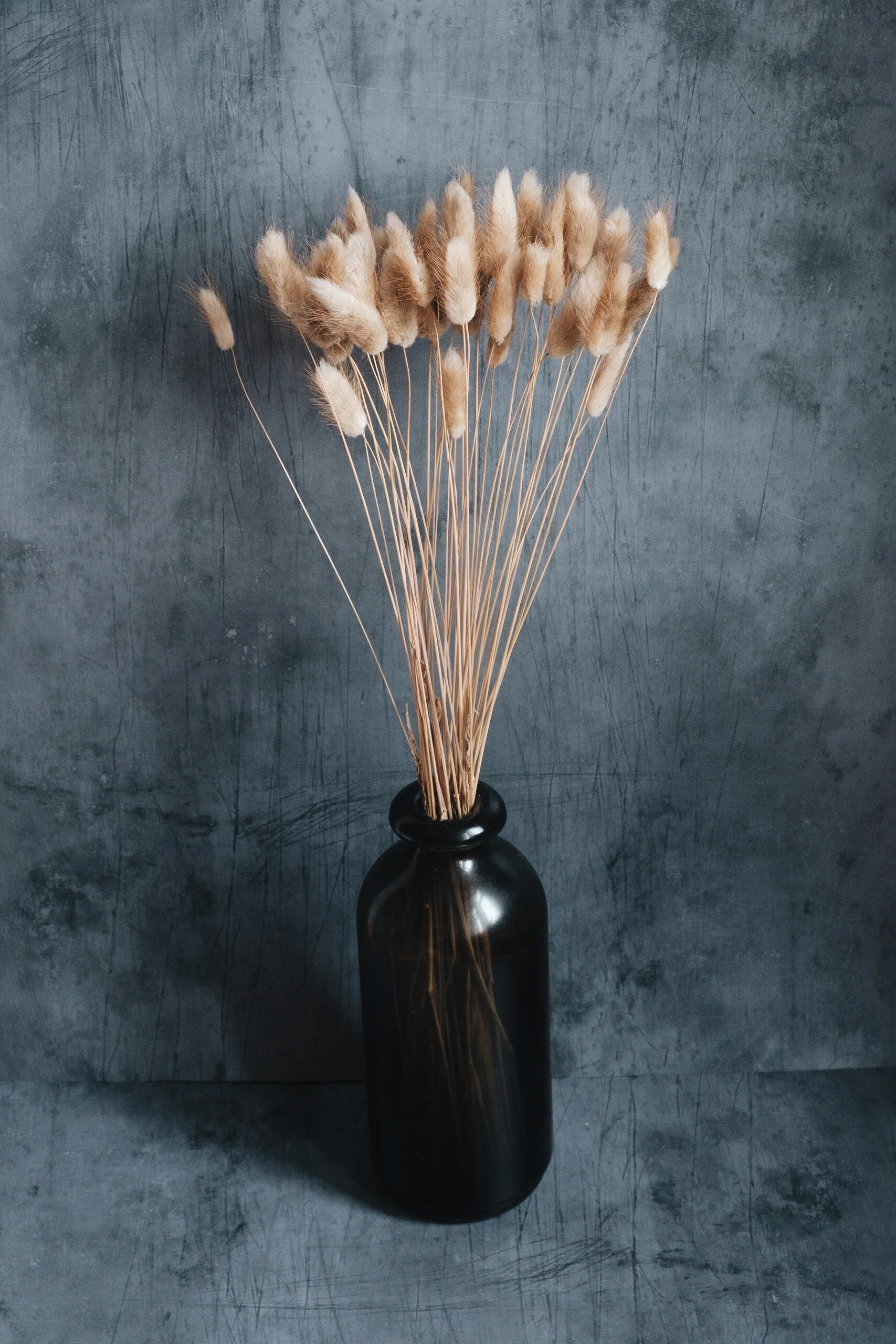 Dried Bunny Tails - Natural x40 (Lagurus) - Image 3