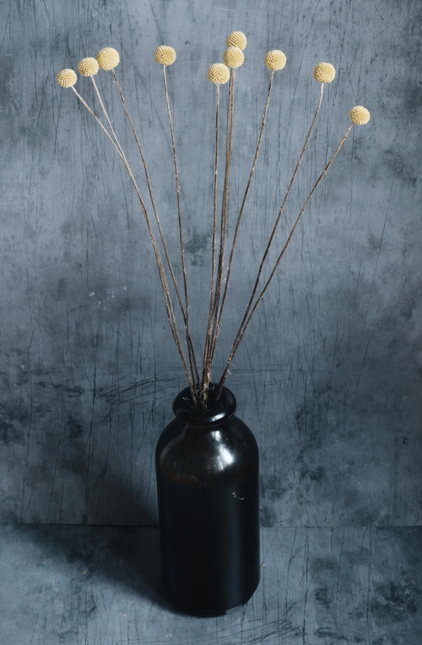 Dried Billy Buttons - Yellow (Craspedia) - Image 3