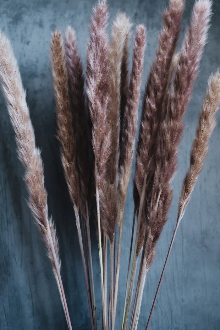 Dried Pampas Grass Bunch - Image 3